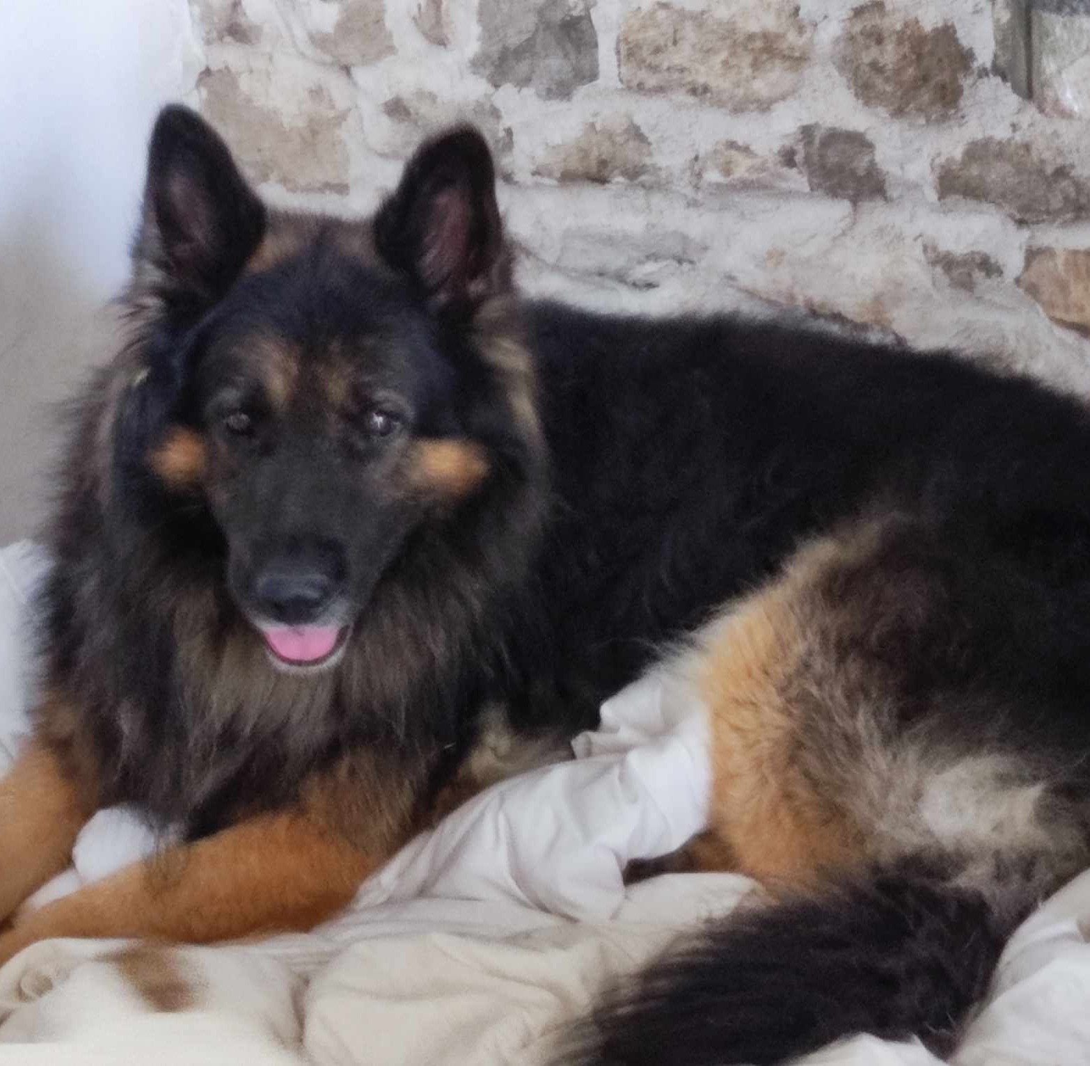 Paco