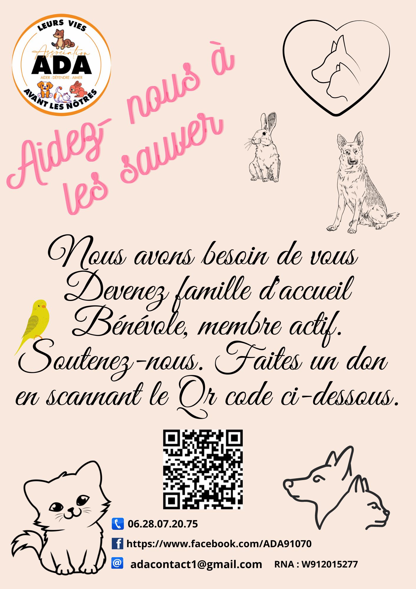 Affiche
